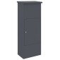 vidaXL Θυρίδα Πακέτων με πόρτα Ανθρακί 44,5 x 29 x 110,5 εκ Ατσάλι
