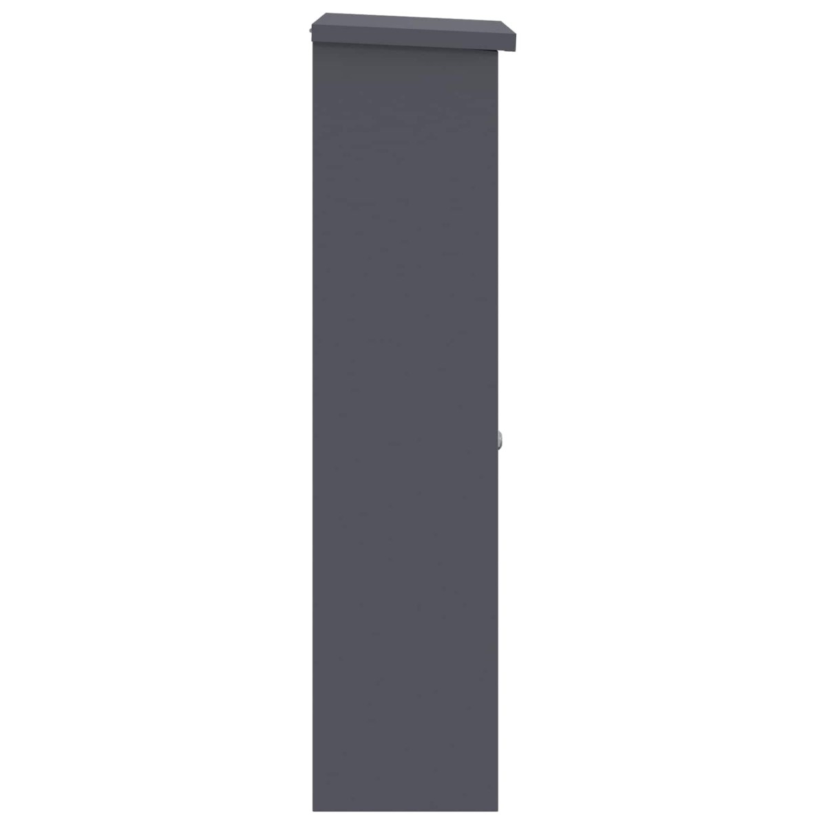 vidaXL Θυρίδα Πακέτων με πόρτα Ανθρακί 44,5 x 29 x 110,5 εκ Ατσάλι