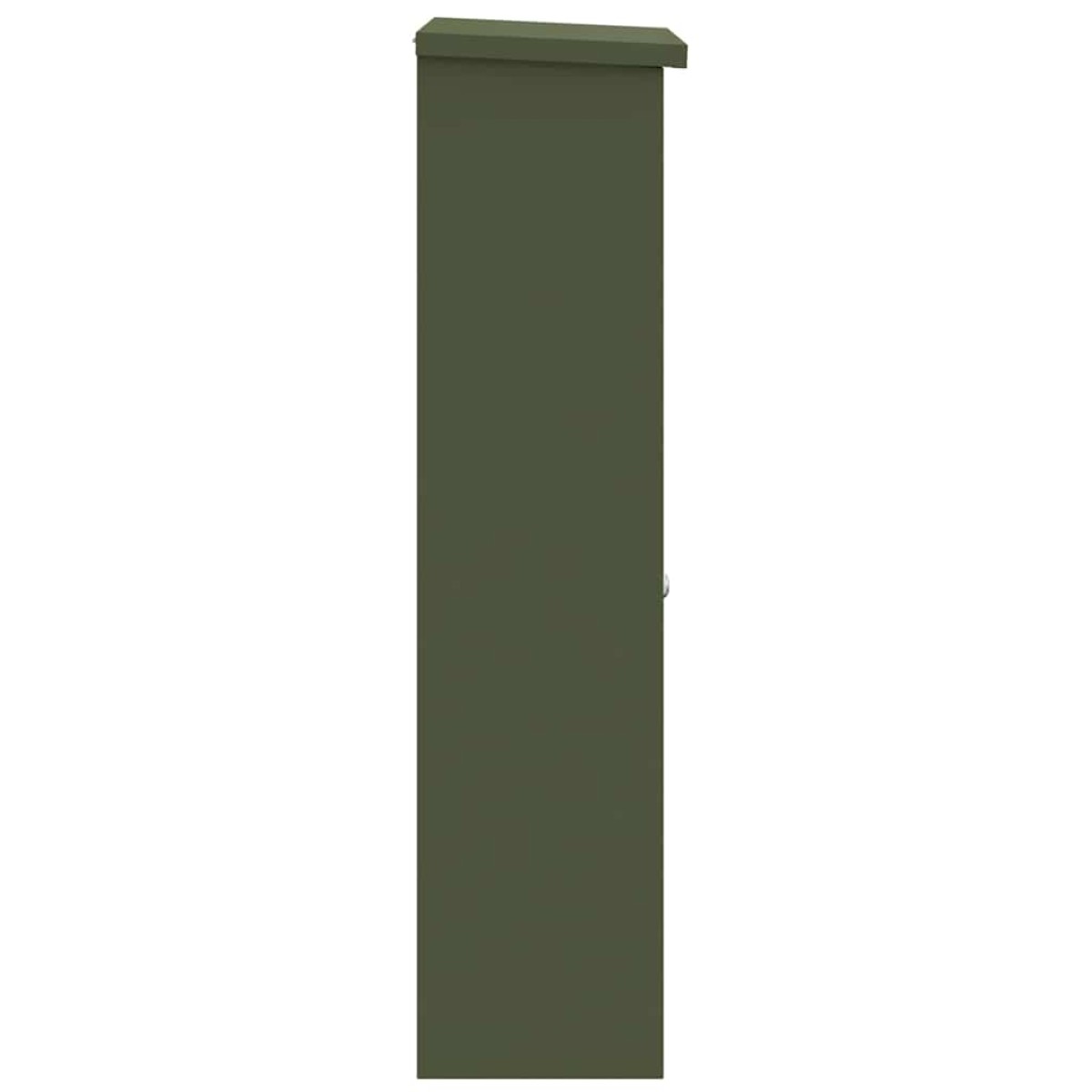 vidaXL Θυρίδα Πακέτων με αποθήκευση Λαδί 44,5 x 29 x 110,5 εκ Ατσάλι