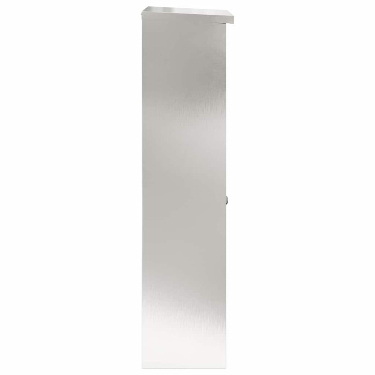 vidaXL Θυρίδα Πακέτων Ασημί 44,5 x 29 x 110,5 εκ Ανοξείδωτο ατσάλι