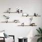 vidaXL Ράφι Βιβλίων 3 επιπέδων 4 τμχ. 100 x 10 x 1,5 cm Καφέ