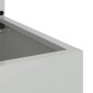 vidaXL Οθόνη Ιδιωτικότητας Κήπου Floral Ασημί 50 x 32 x 150 εκ
