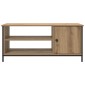 vidaXL Ντουλάπι TV 100 x 40 x 45 cm Artisan Oak Επεξεργασμένο Ξύλο