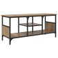 vidaXL Ντουλάπι TV 100 x 35 x 45 εκ. Artisan Oak