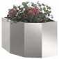 vidaXL Γωνιακό Ροδόδεντρο Ασημί 45 x 45 x 35 cm Ανοξείδωτο ατσάλι