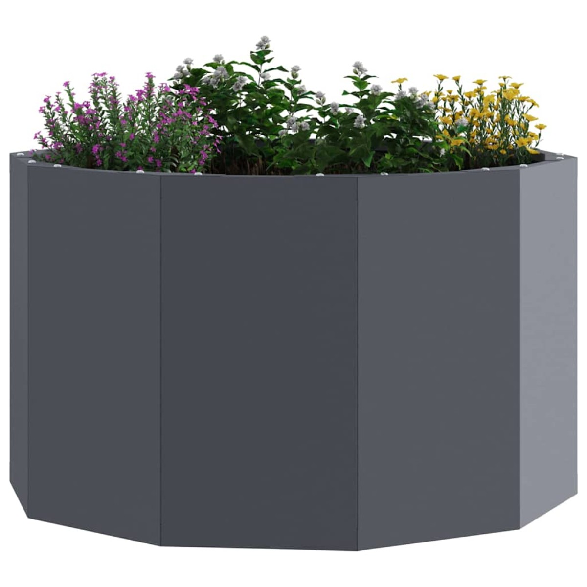 vidaXL Γλάστρα Ανθρακί 60 x 60 x 35 cm Ατσάλι