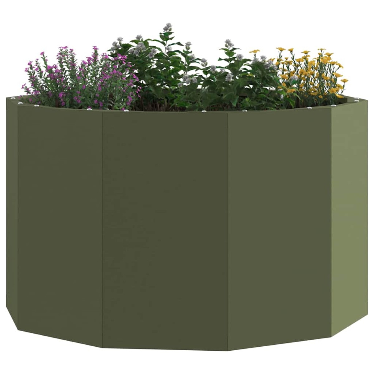vidaXL Γλάστρα Ελιά Πράσινη 60 x 60 x 35 cm Ατσάλι