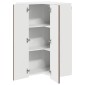 vidaXL Πάνελ πλυντηρίου πιάτων Kalmar Καφέ δρυς 57 x 57 x 100 εκ.