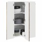 vidaXL Πάνελ πλυντηρίου πιάτων Kalmar Παλιό ξύλο 57 x 57 x 100 εκ.