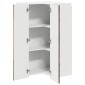 vidaXL Πάνελ πλυντηρίου πιάτων Kalmar Παλιό ξύλο 57 x 57 x 100 εκ.
