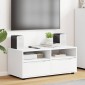 vidaXL Ντουλάπι TV 100 x 48 x 43 εκ. Λευκό Επεξεργασμένο Ξύλο