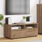 vidaXL Ντουλάπι TV 100 x 48 x 43 εκ. Artisan Oak Επεξεργασμένο Ξύλο
