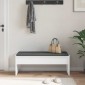 vidaXL Παγκάκι Χαλωρίου με μαξιλάρι Λευκό 103 x 38 x 40 εκ