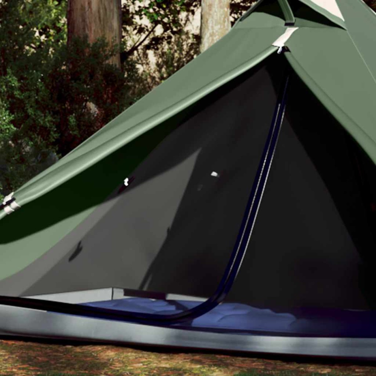 vidaXL Σκηνή Κάμπινγκ 1 Ατόμου Πράσινη 255x153x130 εκ. από Ταφτά 185T