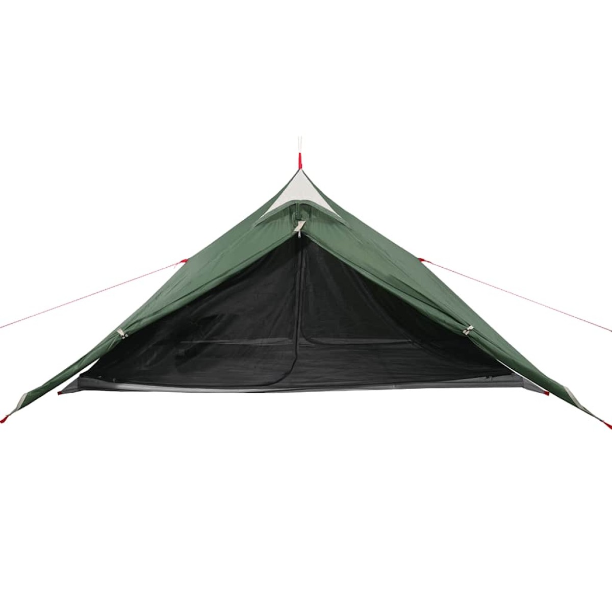 vidaXL Σκηνή Κάμπινγκ 1 Ατόμου Πράσινη 255x153x130 εκ. από Ταφτά 185T