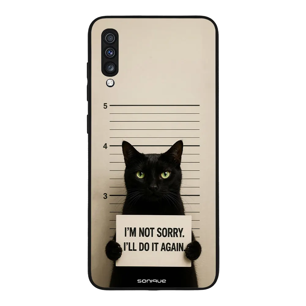 Θήκη Sonique Men's Edition για Samsung Galaxy A70/A70s Not Sorry