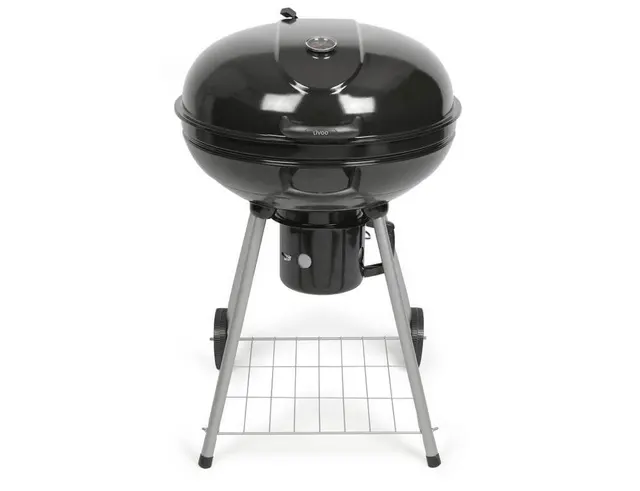 ΨΗΣΤΑΡΙΈΣ ΚΆΡΒΟΥΝΟΥ ΨΗΣΤΑΡΙΑ BBQ LIVOO KAPBOYNOY DOC270