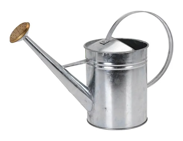 ΔΙΑΚΟΣΜΗΤΙΚΆ ΚΉΠΟΥ & ΒΕΡΆΝΤΑΣ WATERING CAN ZINC 1900ML DR8200040