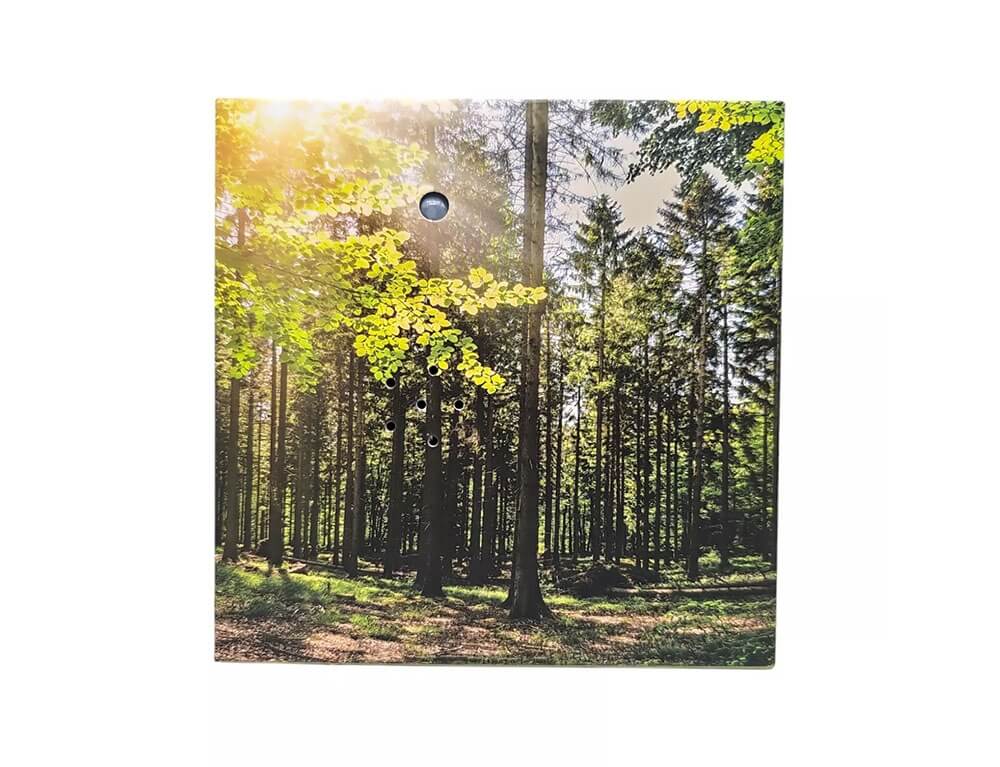 COZY SOUND ΒOX ΜΕ ΕΛΕΓΧΟ ΚΊΝΗΣΗΣ SOUNDBOX FOREST MOTION DETECTOR