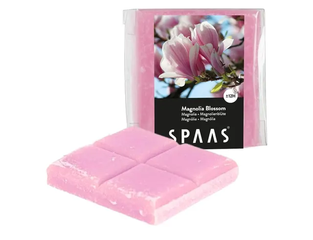 WAX ΚΕΡΙΆ & WAX ΜELT ΒURNERS SPAAS WAX MELTS MAGNOLIA 6.5 CM