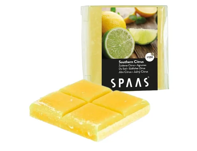 WAX ΚΕΡΙΆ & WAX ΜELT ΒURNERS SPAAS WAX MELTS SOUTHERN CITRUS 6.5 CM