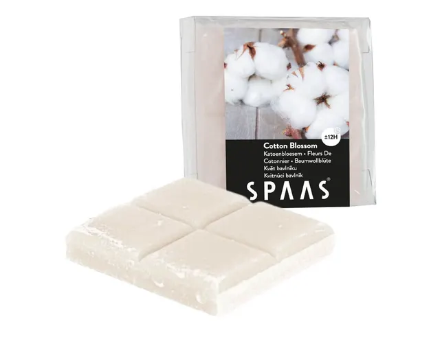 WAX ΚΕΡΙΆ & WAX ΜELT ΒURNERS SPAAS WAX MELTS COTTON BLOSSOM 6.5 CM