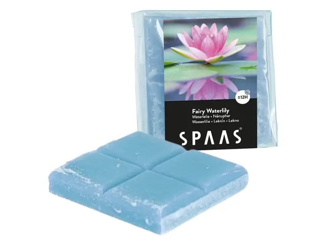 WAX ΚΕΡΙΆ & WAX ΜELT ΒURNERS SPAAS WAX MELTS FAIRY WATERLILY 6.5 CM