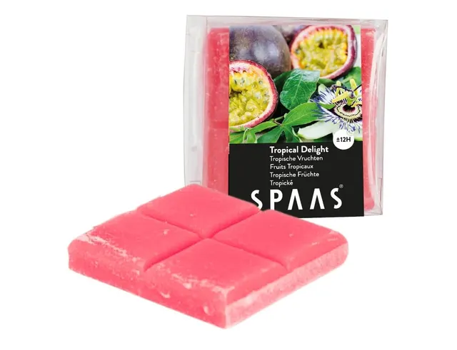 WAX ΚΕΡΙΆ & WAX ΜELT ΒURNERS SPAAS WAX MELTS TROPICAL DELIGHT 6 5 CM