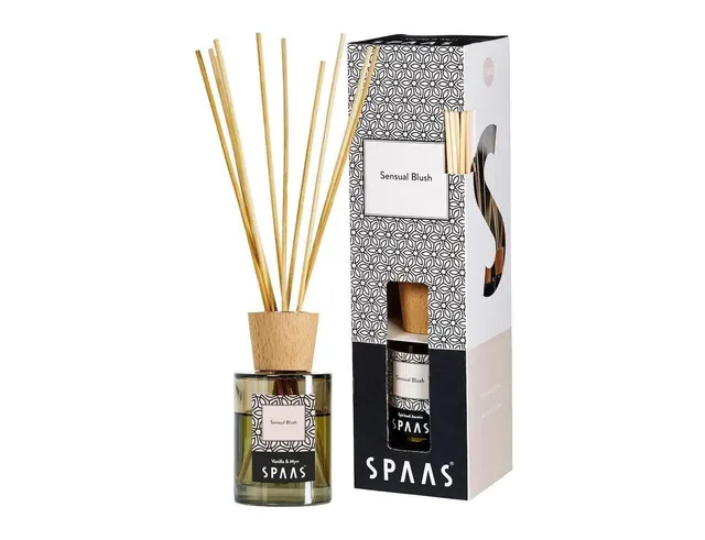 ΑΡΩΜΑΤΙΚΆ XΏΡΟΥ ΜΕ STICKS SPAAS FRAGRANCE STICKS SENSUAL BLUSH 80 ML