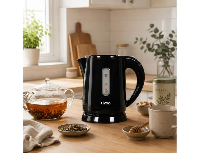 ΒΡΑΣΤΉΡΕΣ MINI KETTLE LIVOO DOD114N