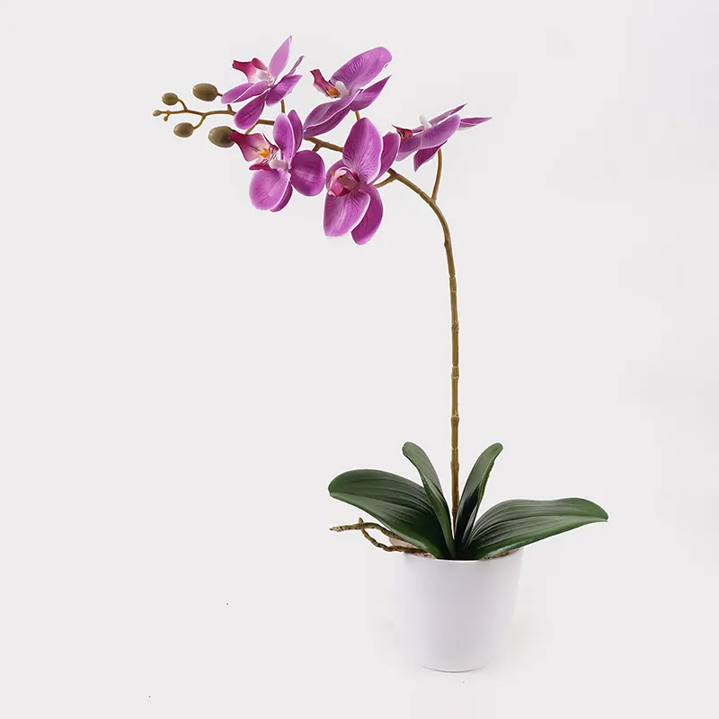 Διακοσμητικό φυτό σε γλάστρα Οrchid Beauty Inart 30x13x46εκ