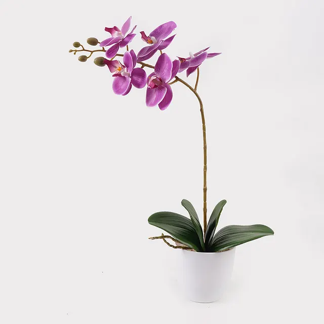 Διακοσμητικό φυτό σε γλάστρα Οrchid Beauty Inart 30x13x46εκ